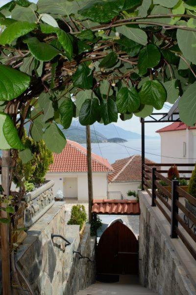Villa Scandik Ohrid Eksteriør bilde